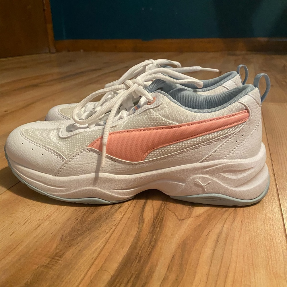 Multi-Colored Pumas